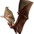 giantbat.jpg
