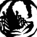 scorpion_mon.jpeg