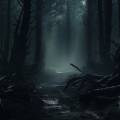 forest.jpg